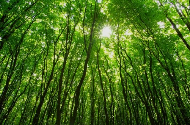 Doğal manzara fotoğrafı