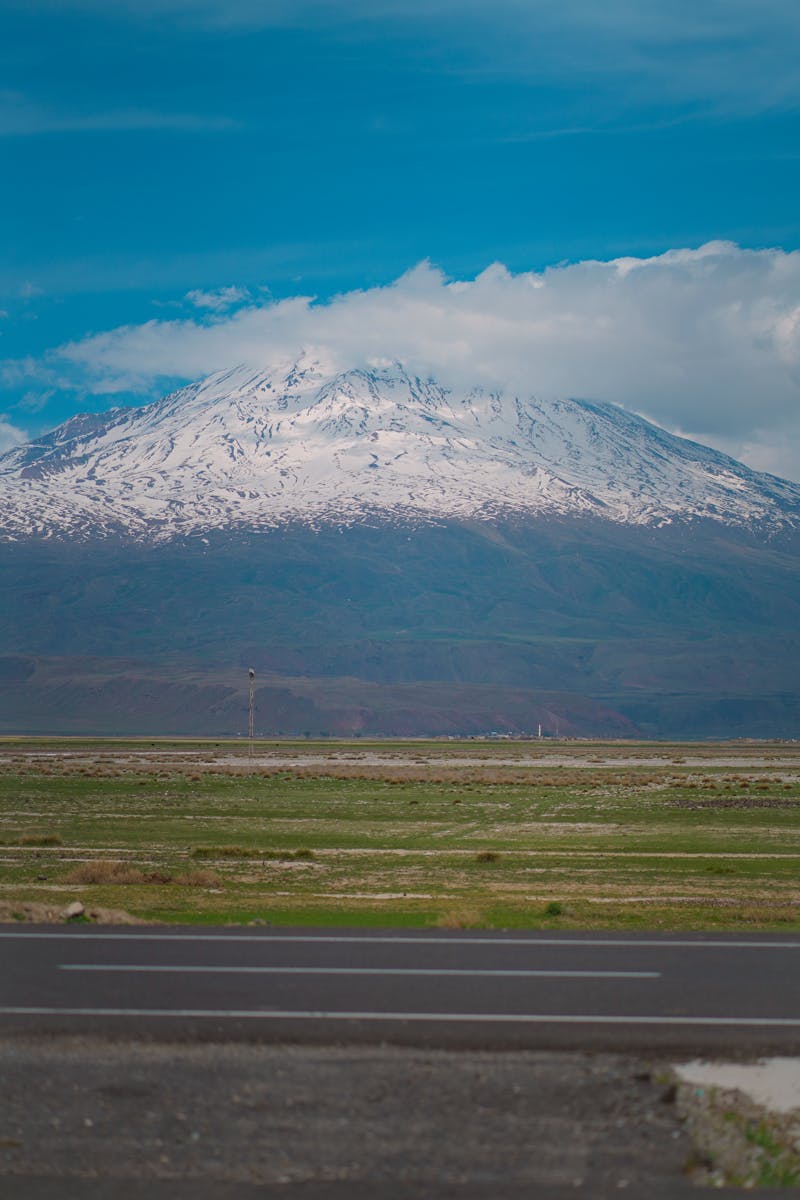 Ağrı