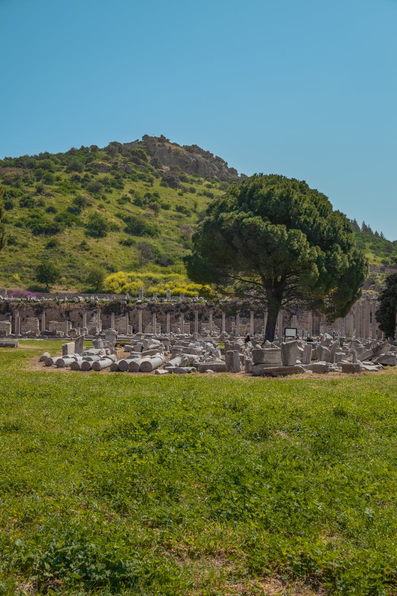 Aydın