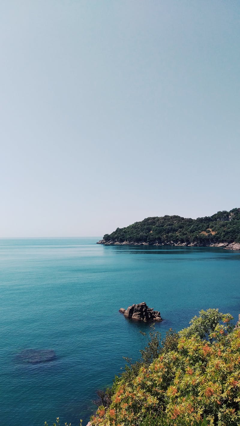 Bartın