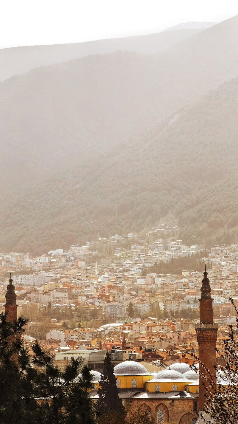 Bursa