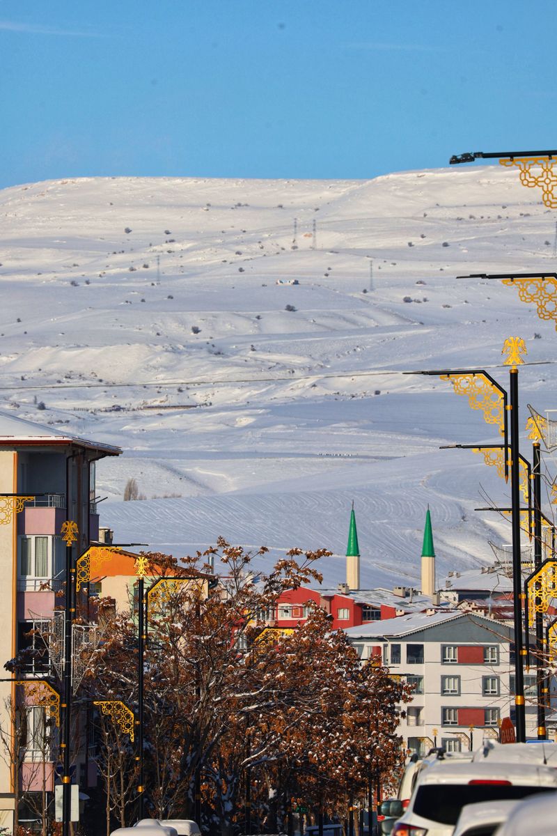 Muş