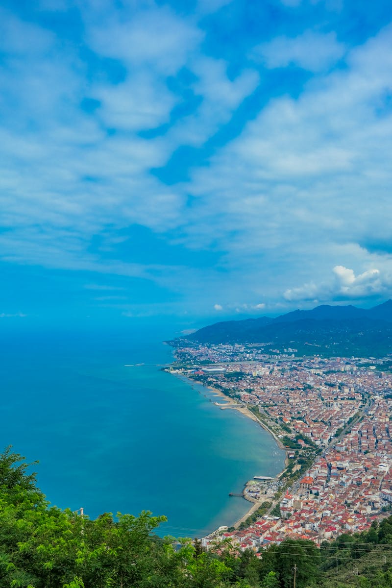 Ordu