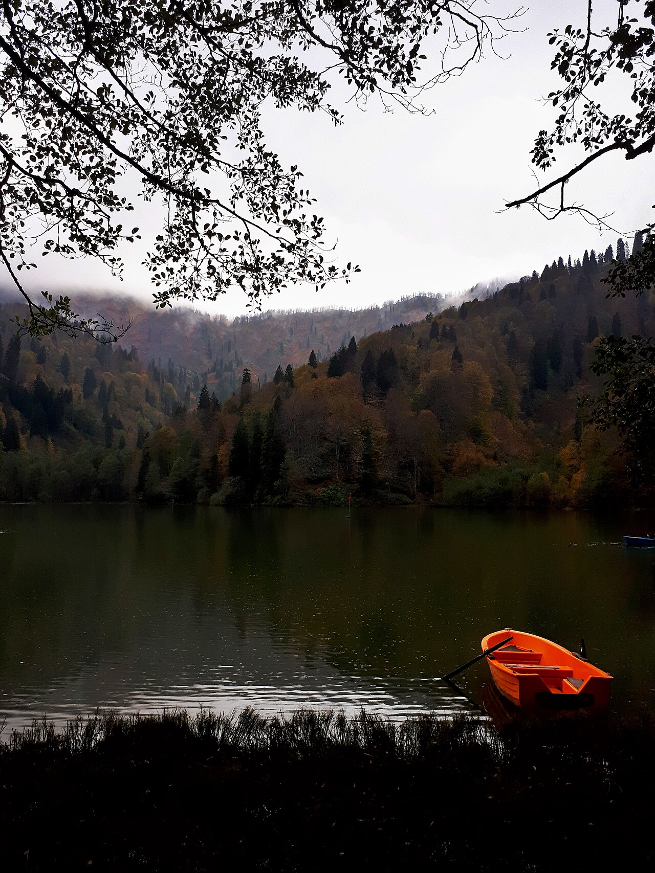 Artvin gezilecek yerler