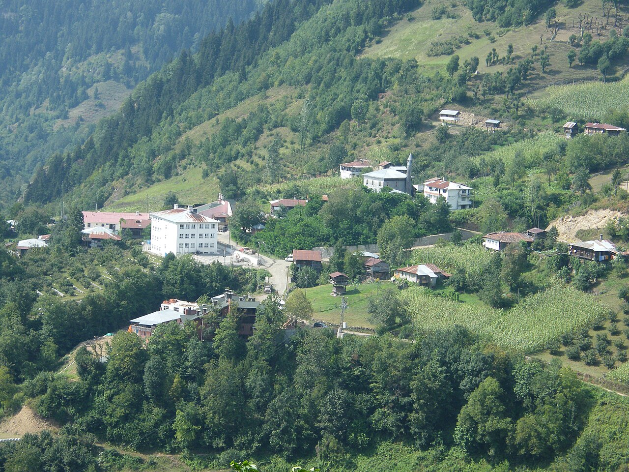 Macahel (Camili) Biosfer Rezerv Alanı, Artvin
