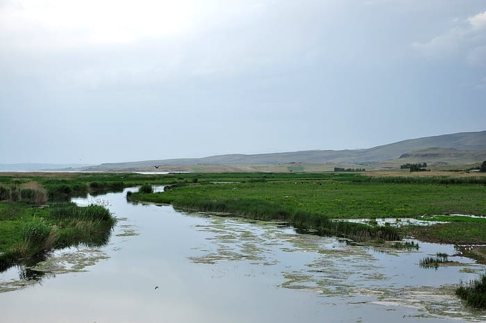 Dönemeç (Bendimahi) Deltası, Van