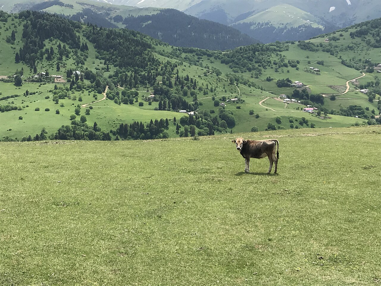 Kümbet Yaylası, Giresun
