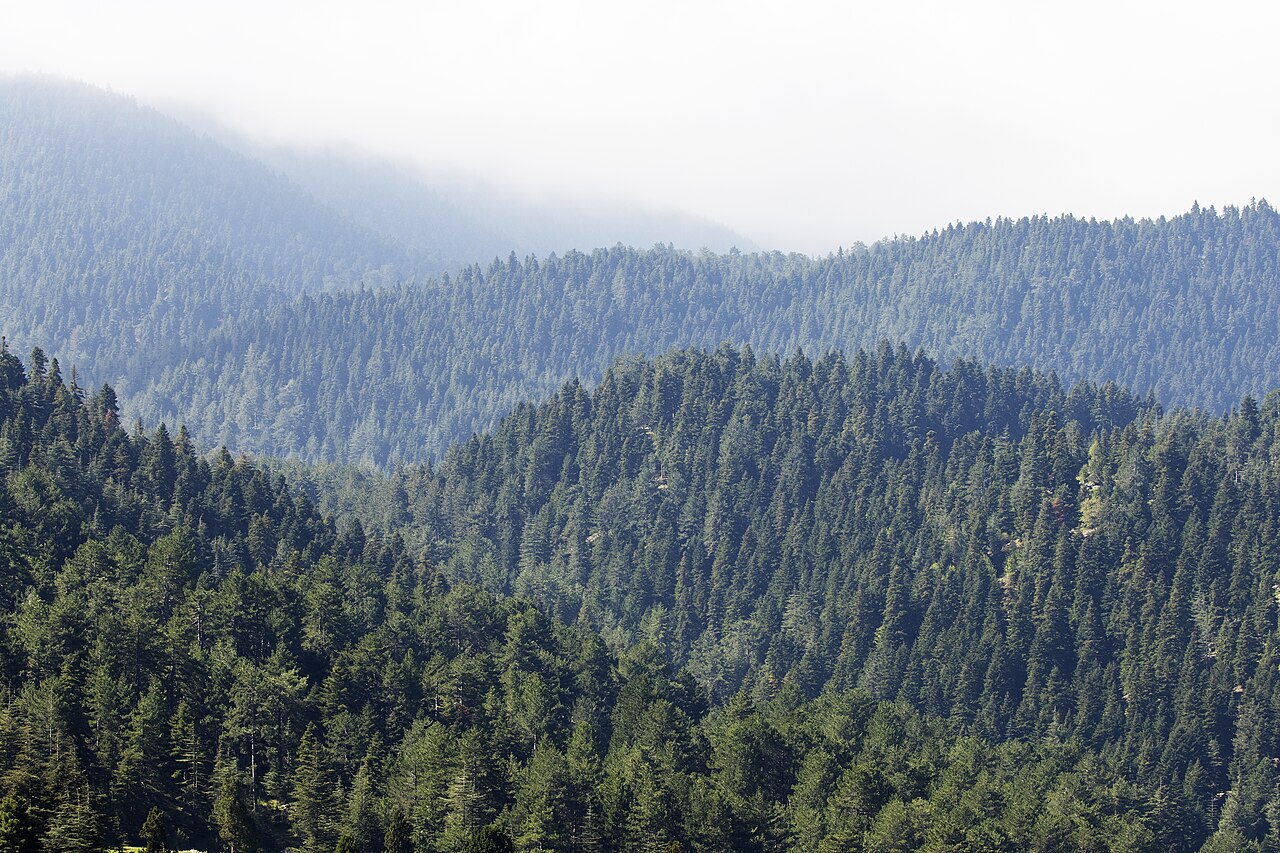 Başkonuş Yaylası, Kahramanmaraş