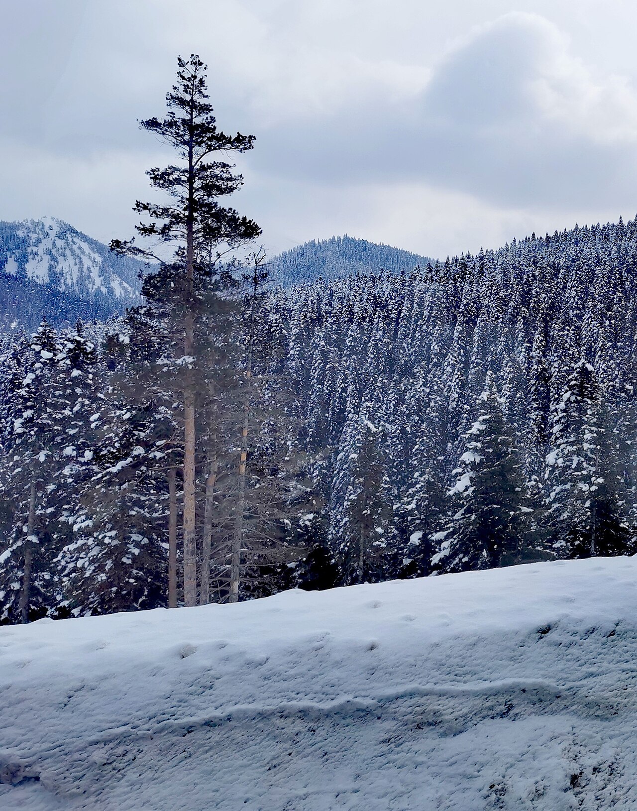 Ilgaz Dağı Milli Parkı, Kastamonu