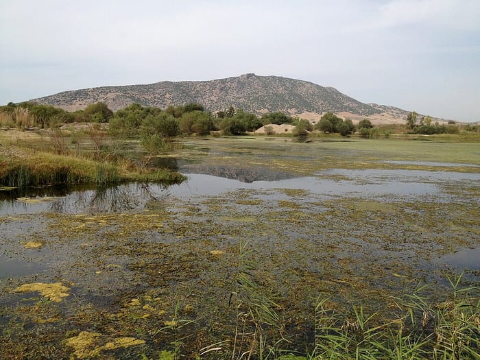 Kırmıtlı Kuş Cenneti, Osmaniye