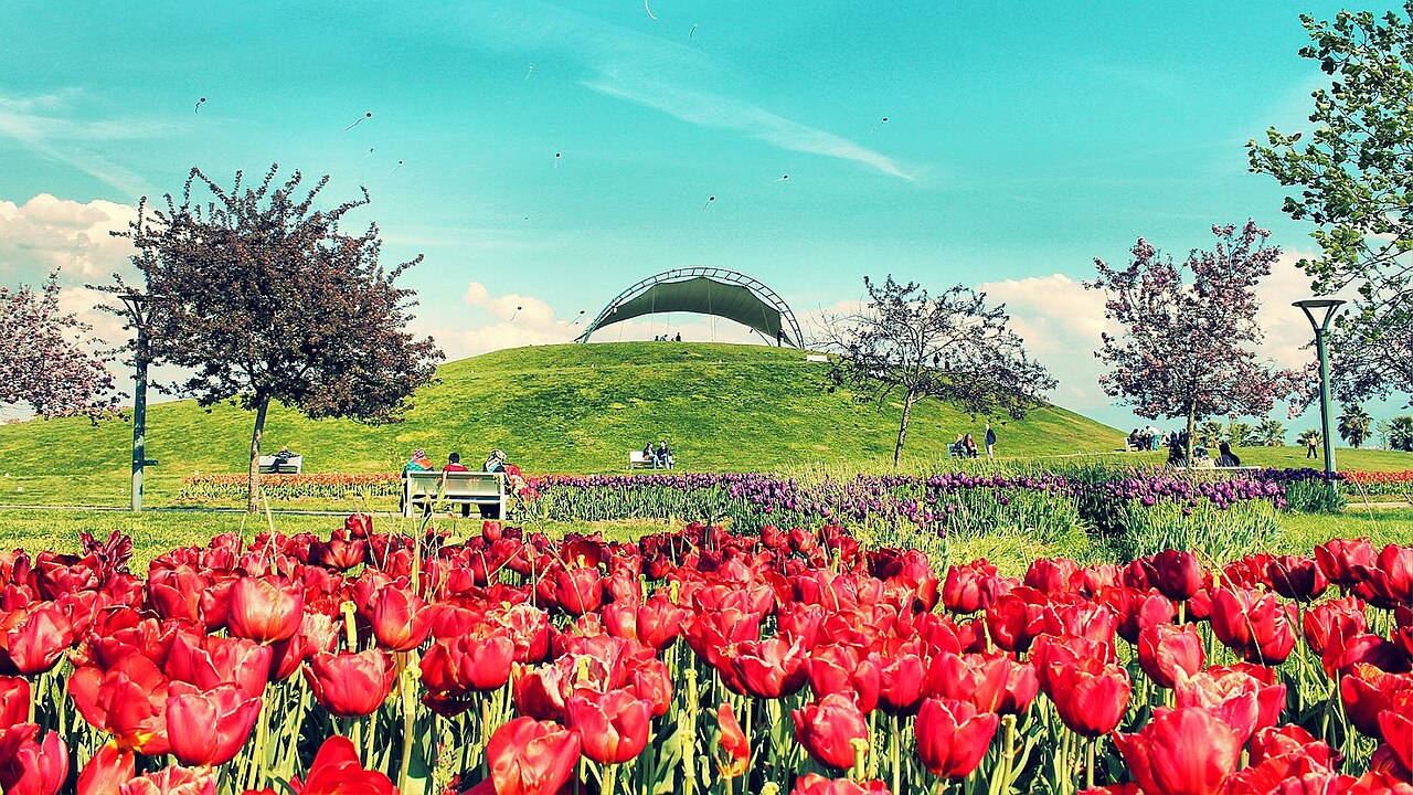 Seka Park, Kocaeli