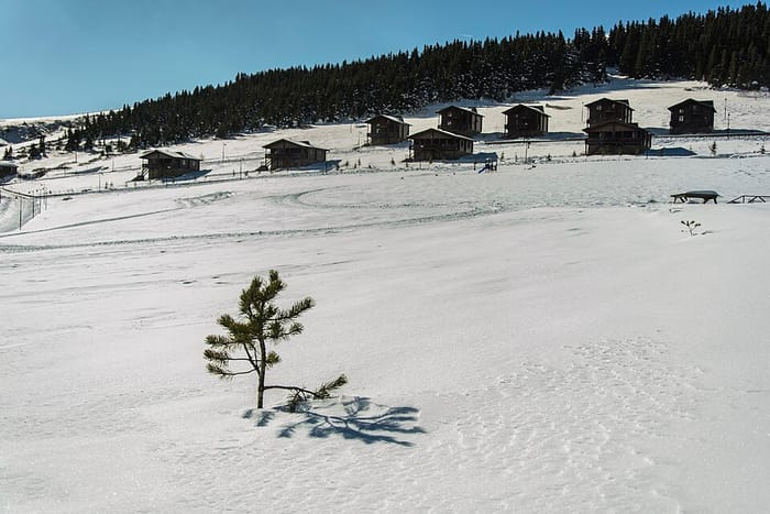 Koçkayası Tabiat Parkı, Giresun