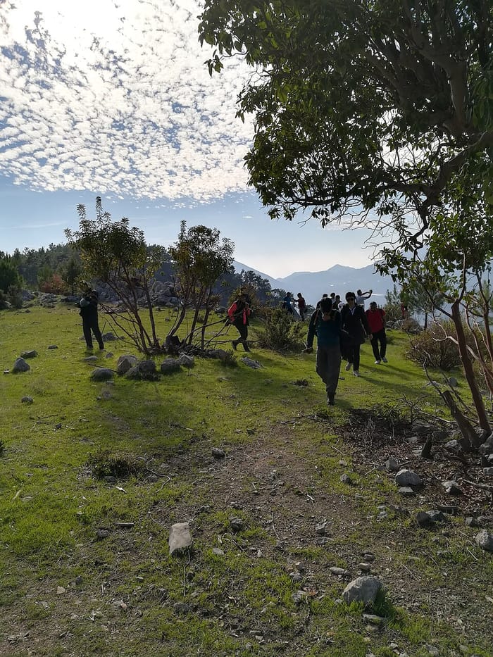 Musa Dağı, Samandağ, Hatay