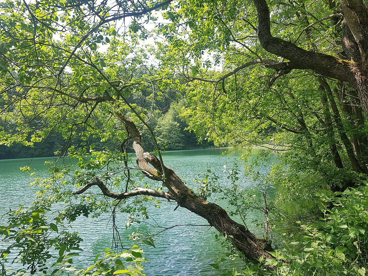 Ulugöl Tabiat Parkı, Ordu