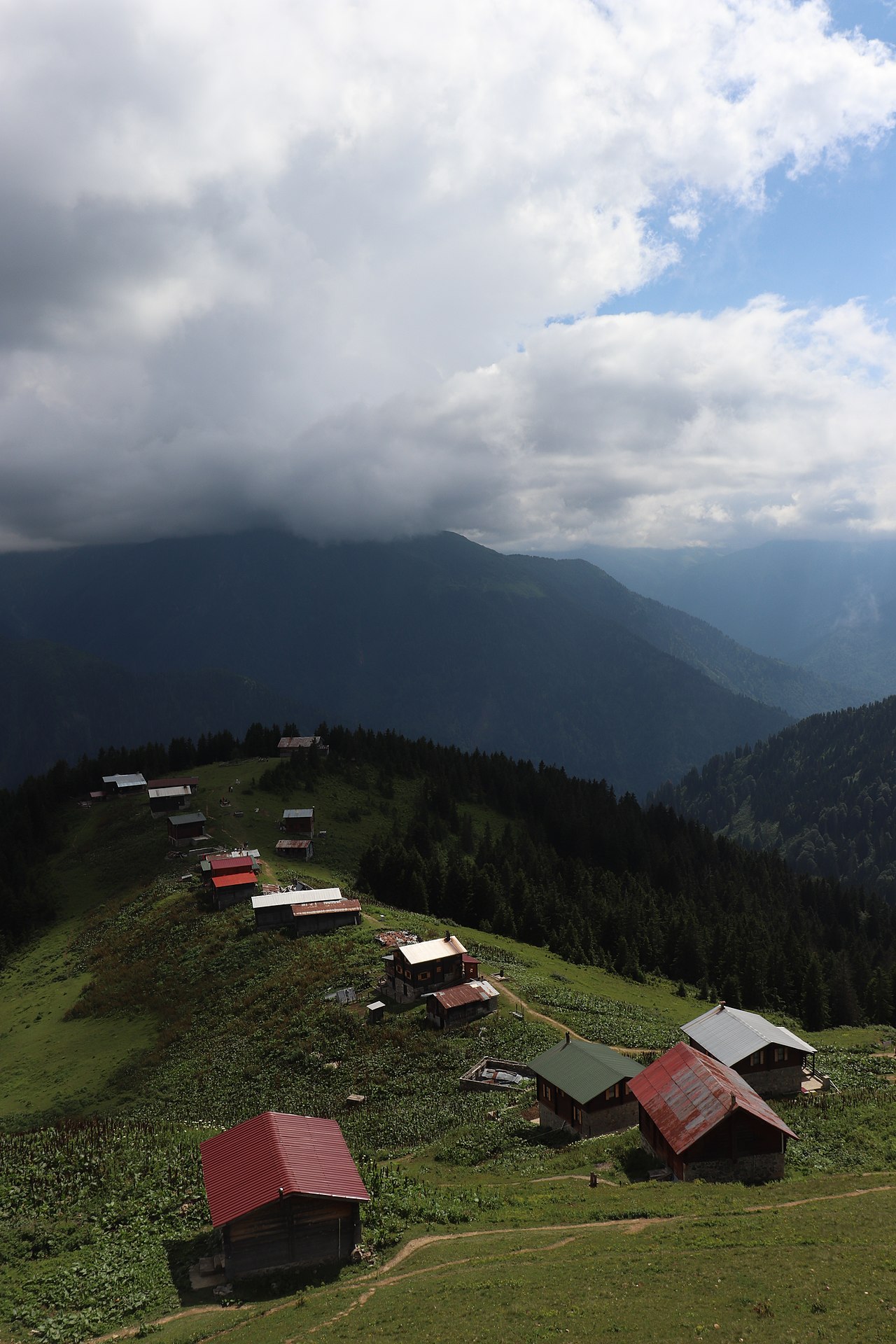 Pokut Yaylası, Rize