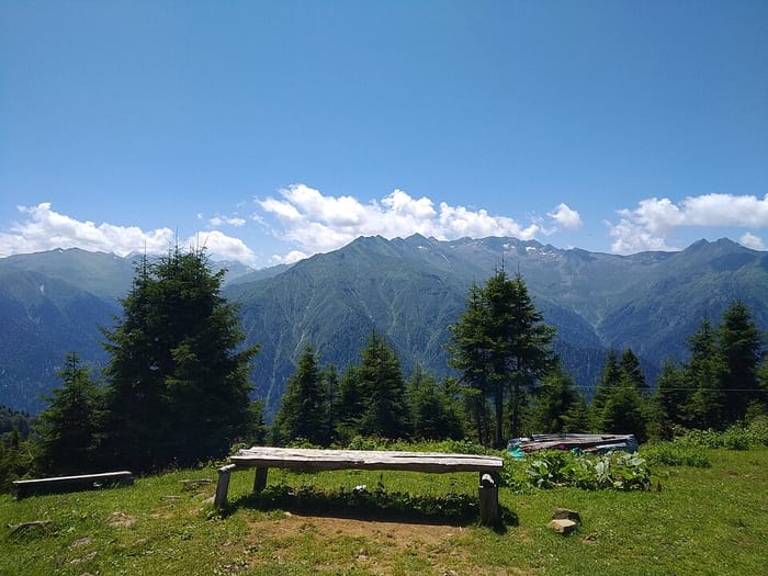Sal Yaylası, Çamlıhemşin, Rize