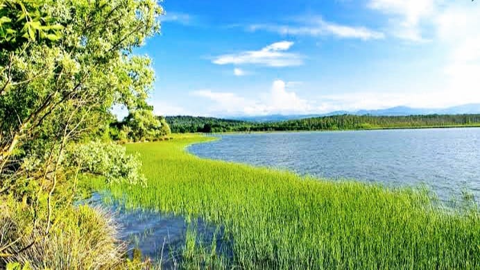Sarıkum Gölü, Sinop