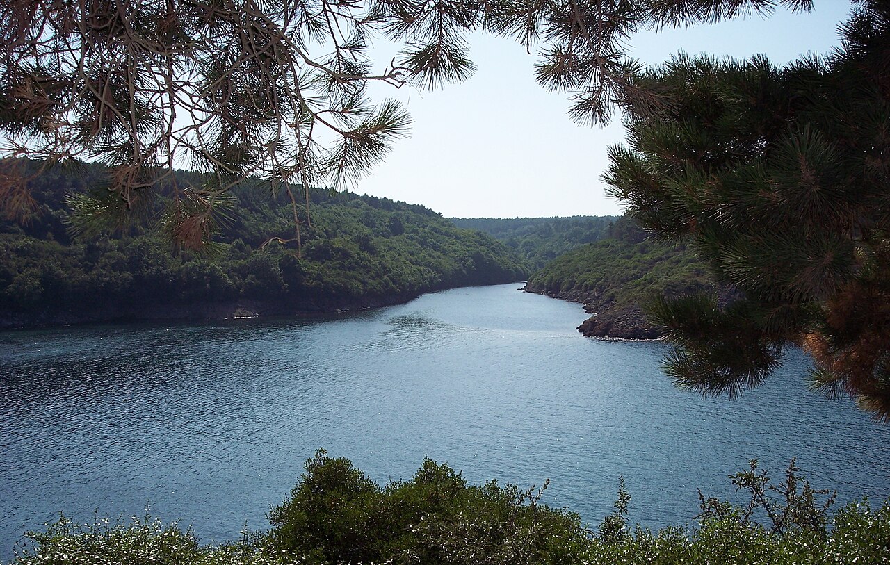 Hamsilos Koyu, Sinop