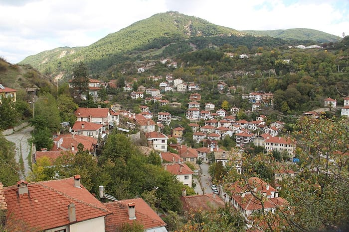 Taraklı tarihi evleri, Sakarya