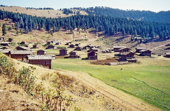 Yalnızçam Yaylaları, Ardahan