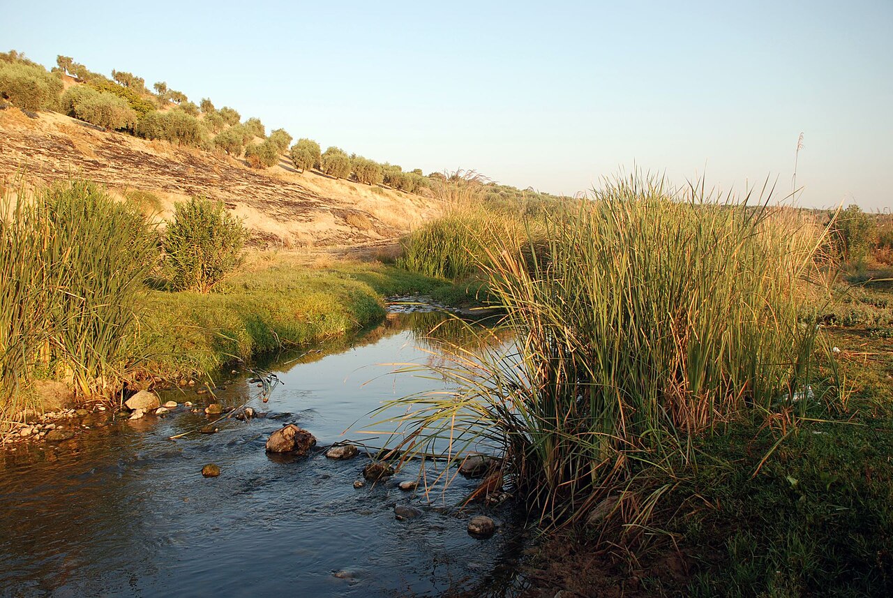 Afrin Çayı, Kilis