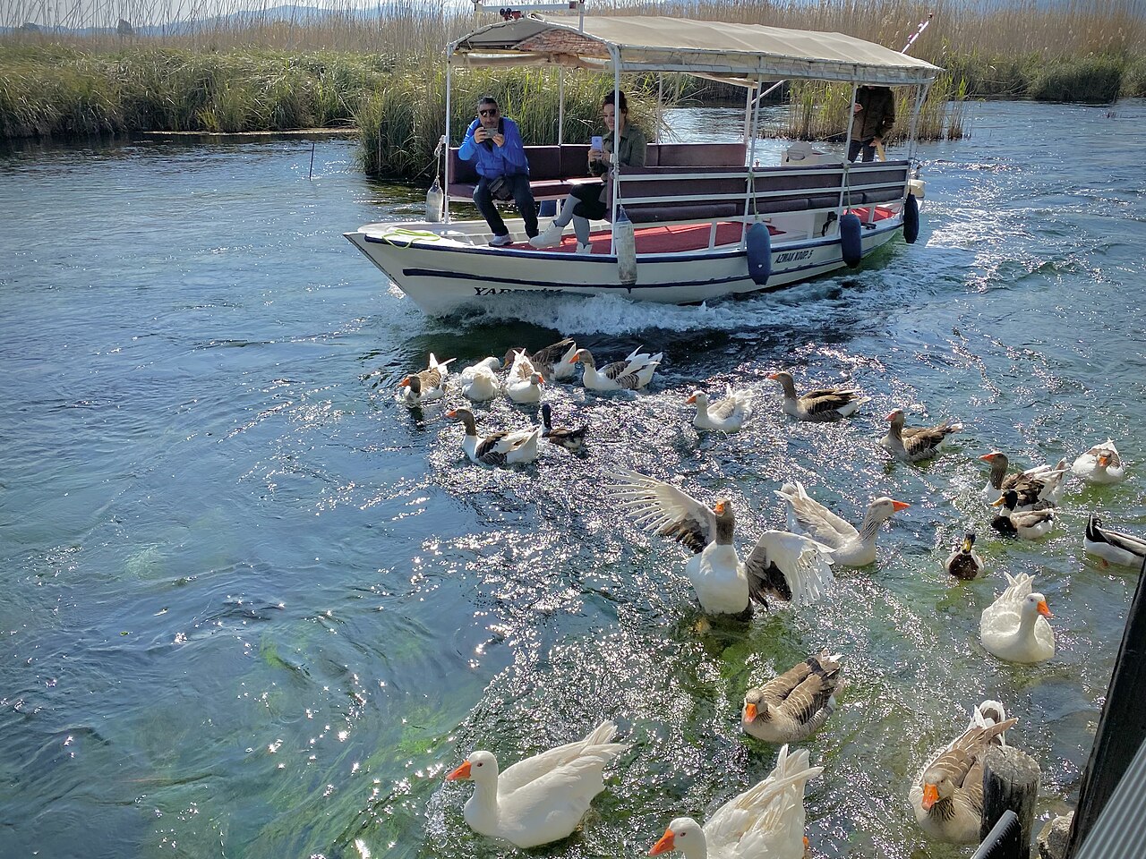 Akyaka Azmak Nehri, Muğla