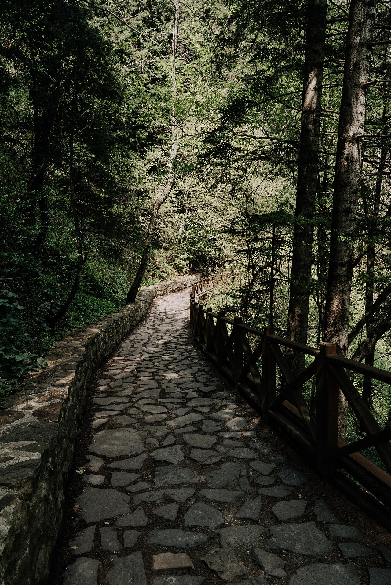 Altındere Vadisi Milli Parkı, Trabzon