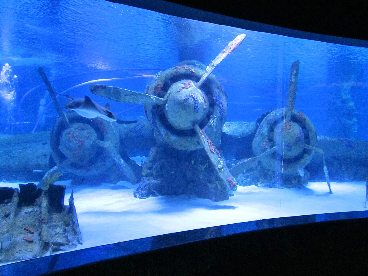 Antalya Aquarium, Antalya