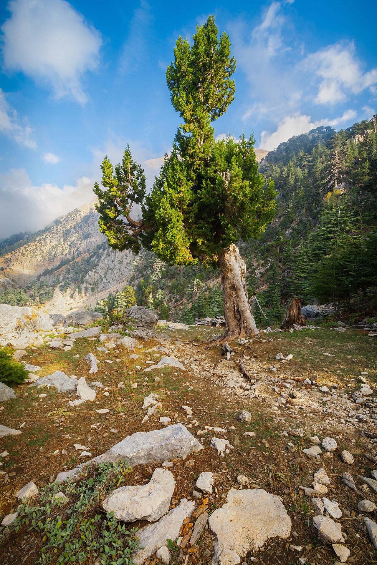 Beydağları Milli Parkı, Antalya
