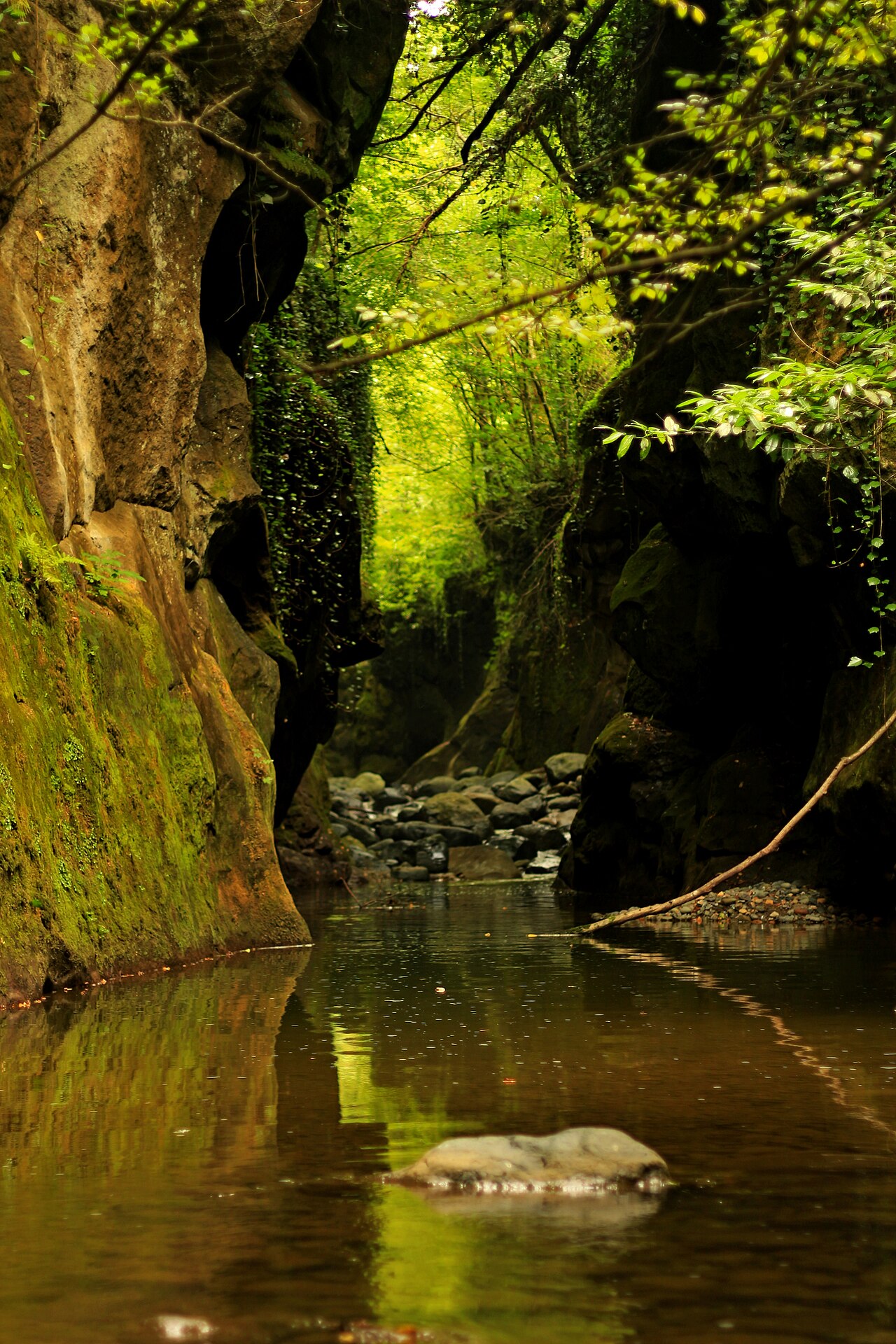Çamaş Kanyon Tesisleri, Ordu