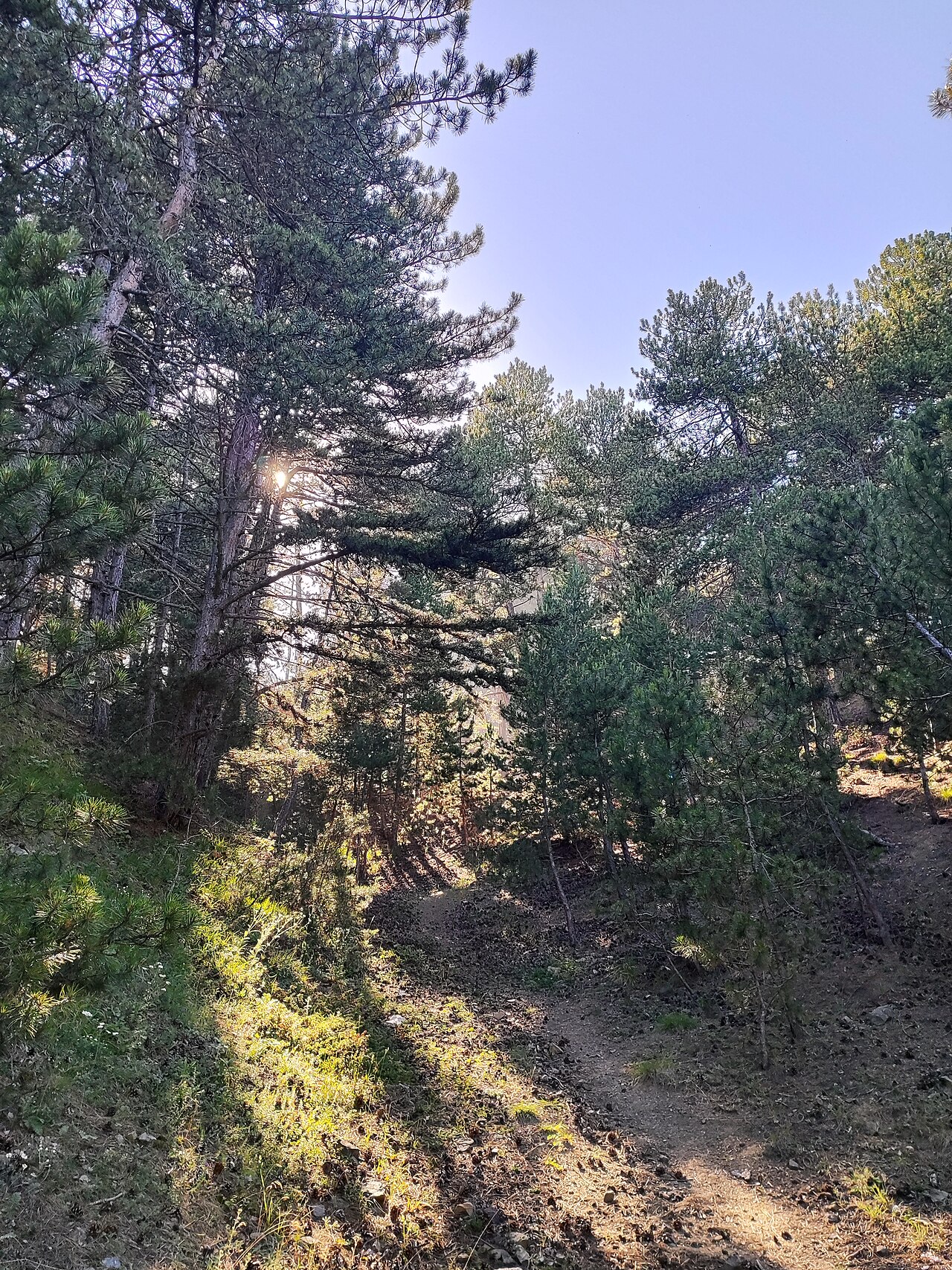 Çatak Tabiat Parkı, Corum