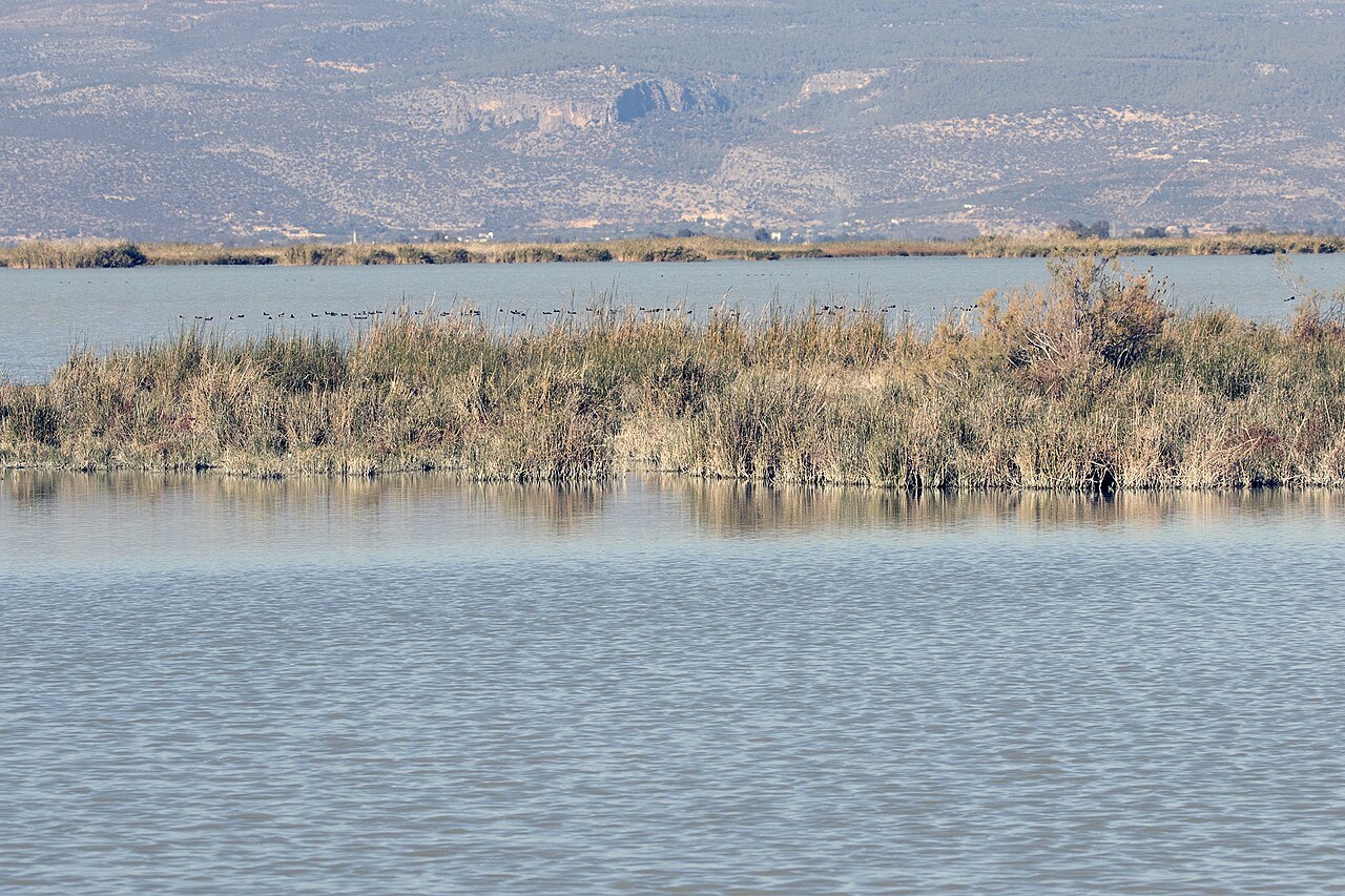 Göksu Deltası Akgöl Kuş Cenneti, Mersin