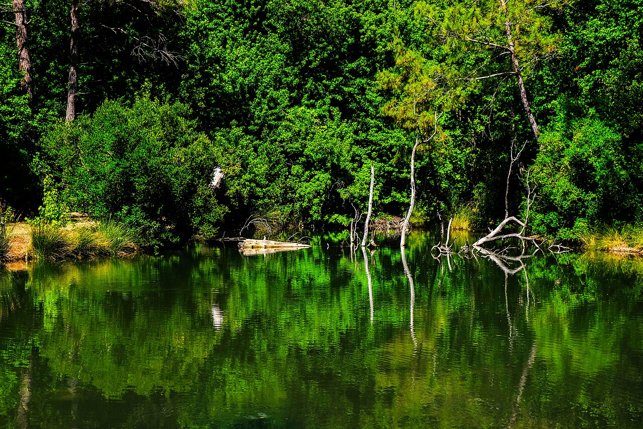 Günnücek, Mugla