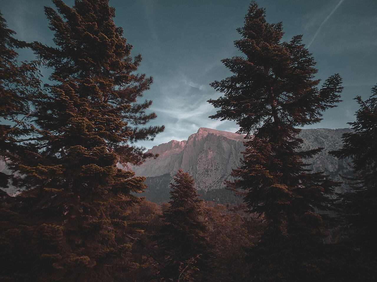Hacer Ormanı, Kayseri