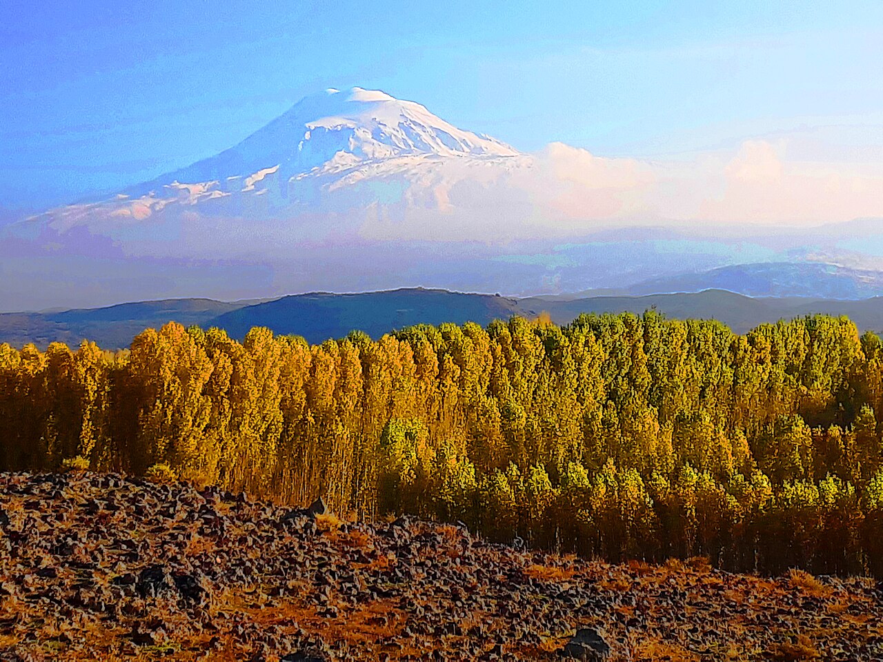 Iğdır İrem Bağları, Igdir