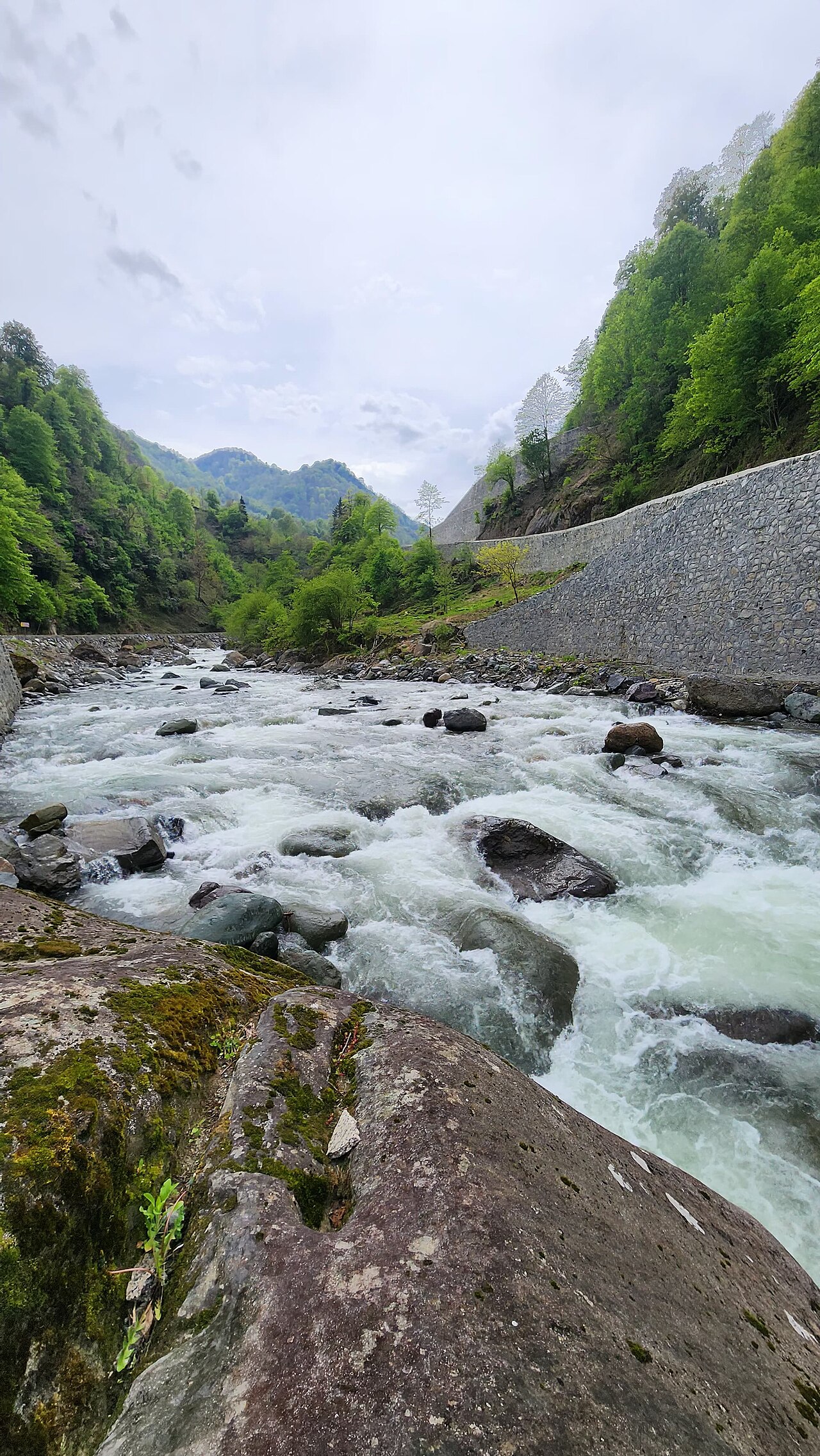 Kamilet Vadisi, Artvin