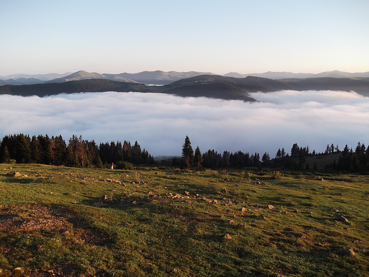 Kayabaşı Tabiat Parkı, Trabzon