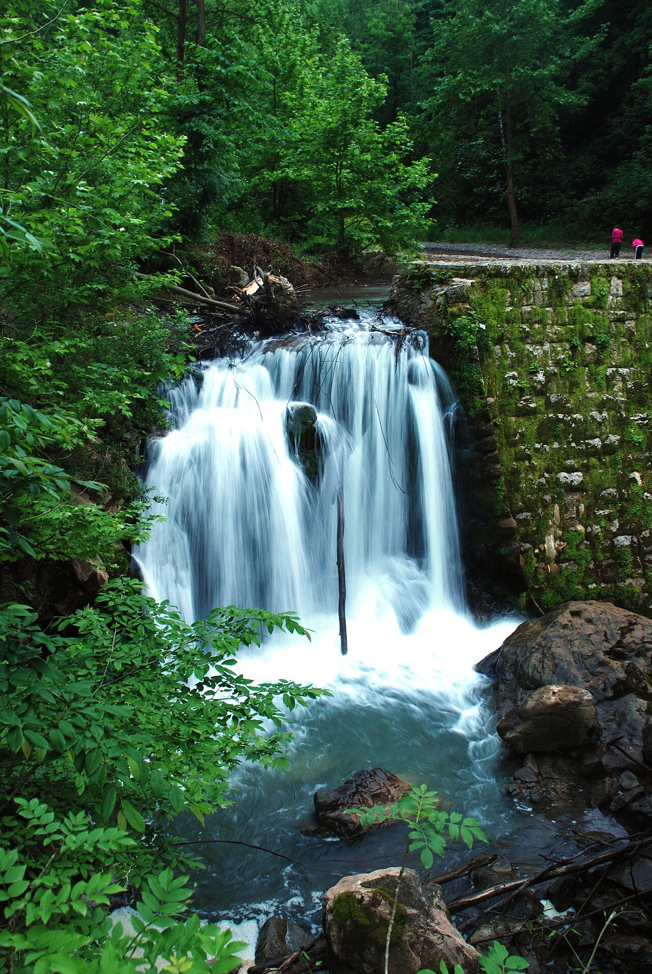 Maden Deresi Tabiat Parkı, Sakarya