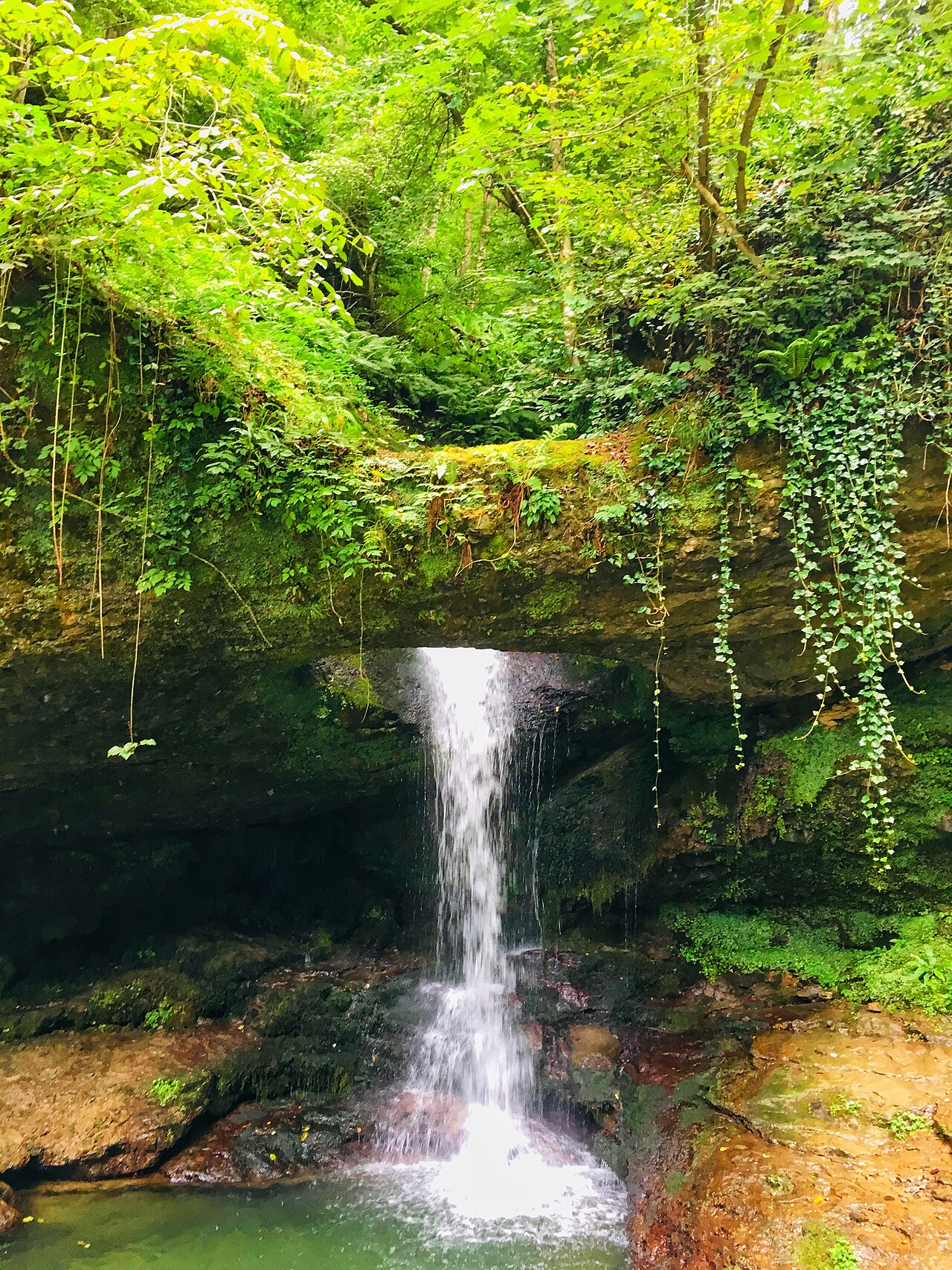 Murgul Deliklikaya Şelalesi, Artvin