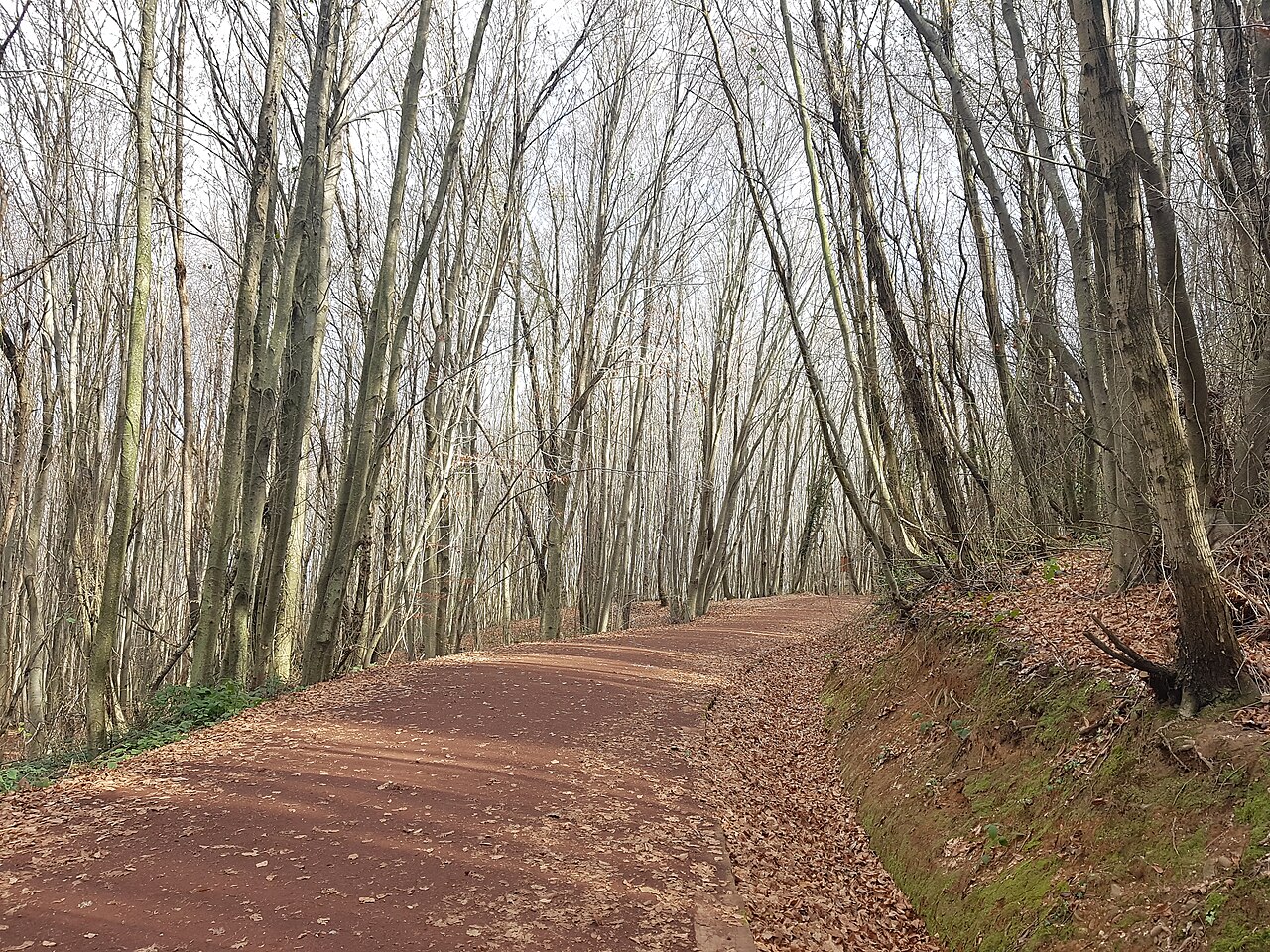 Polonezköy Tabiat Parkı, Istanbul