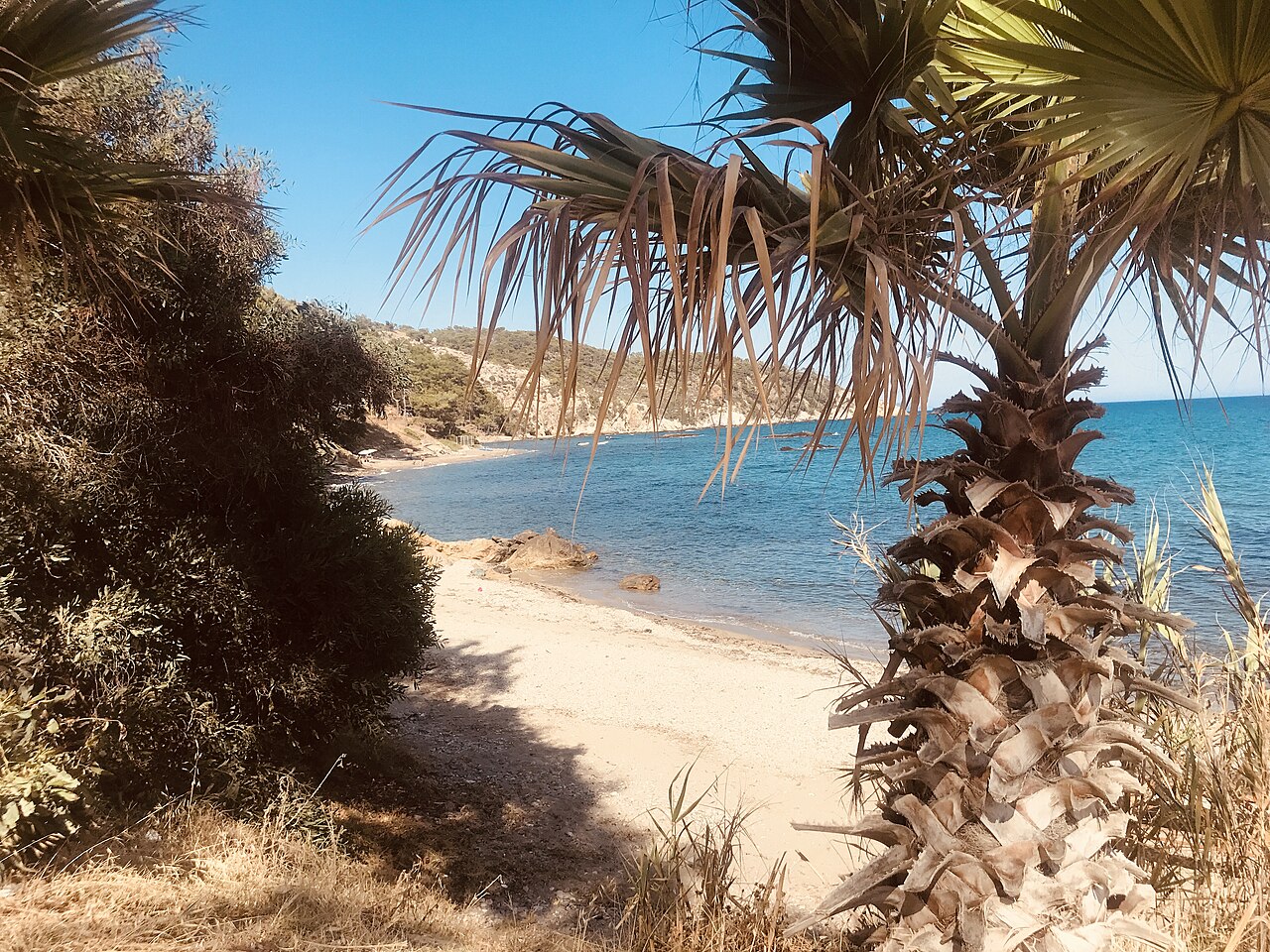 Pullu Tabiat Parkı, Mersin