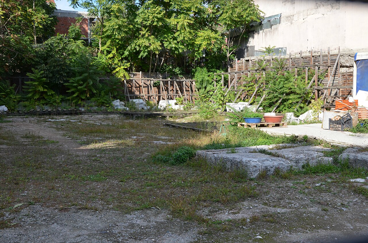 Roma Sarayı Kalıntıları, Kocaeli