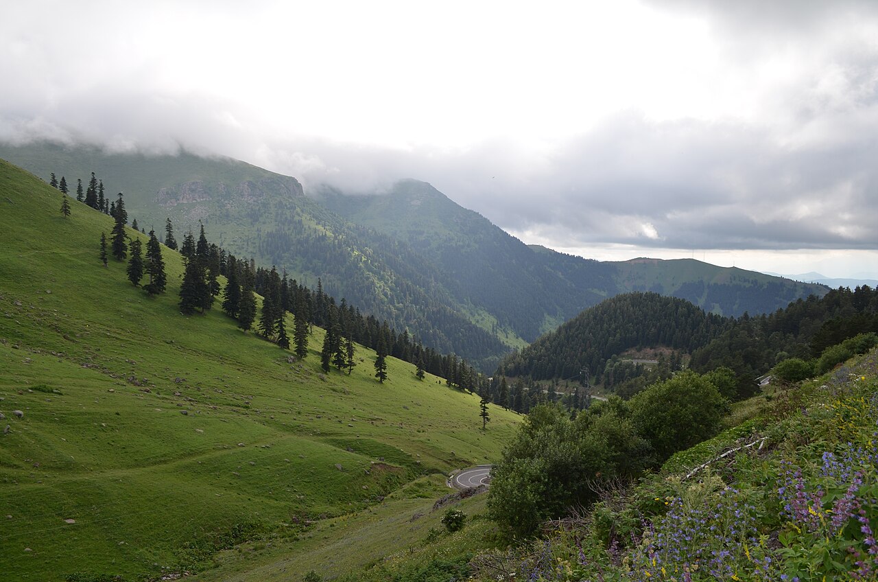 Sahara Yaylası, Artvin