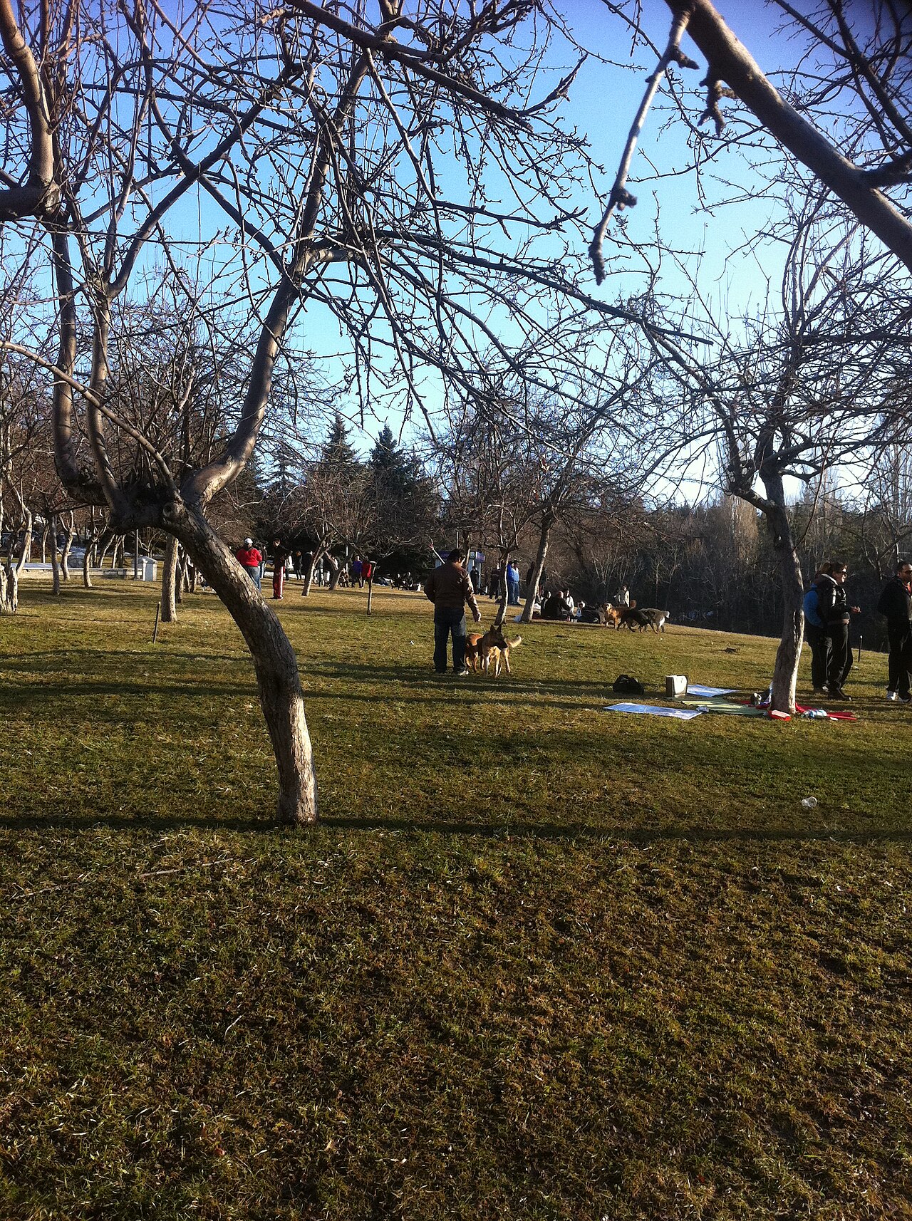 Seğmenler Parkı, Ankara