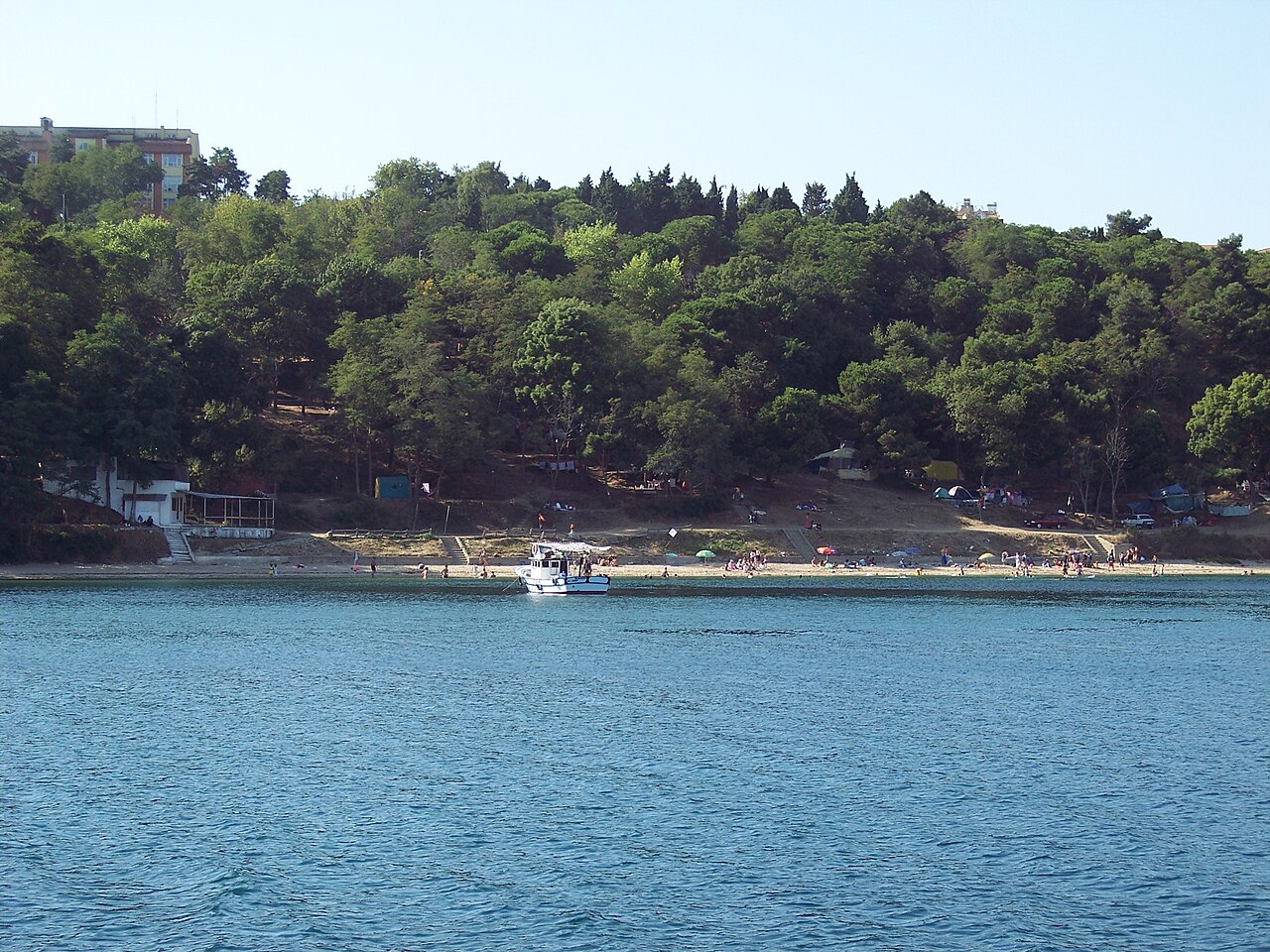 Sinop Orman Kampı, Sinop