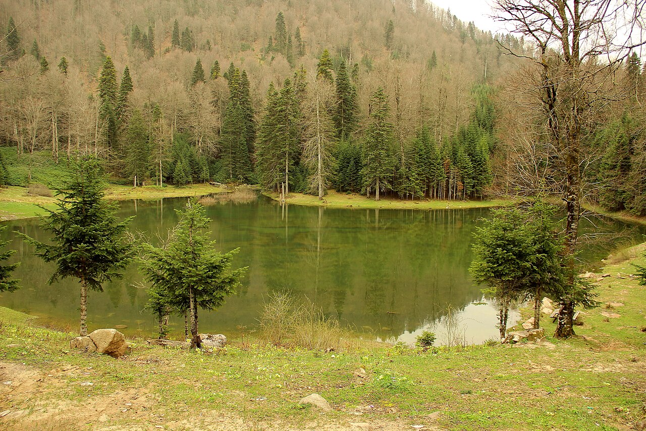 Torkul Gölü, Düzce