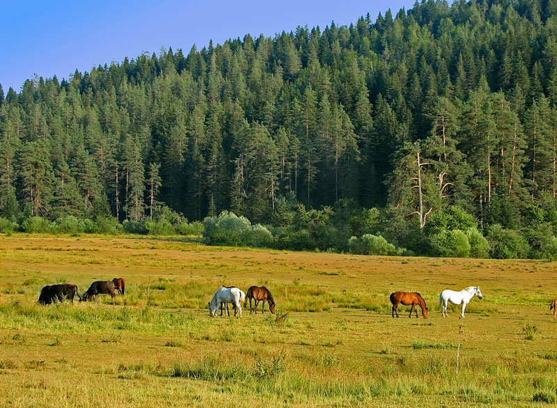 Uluyayla, Karabuk