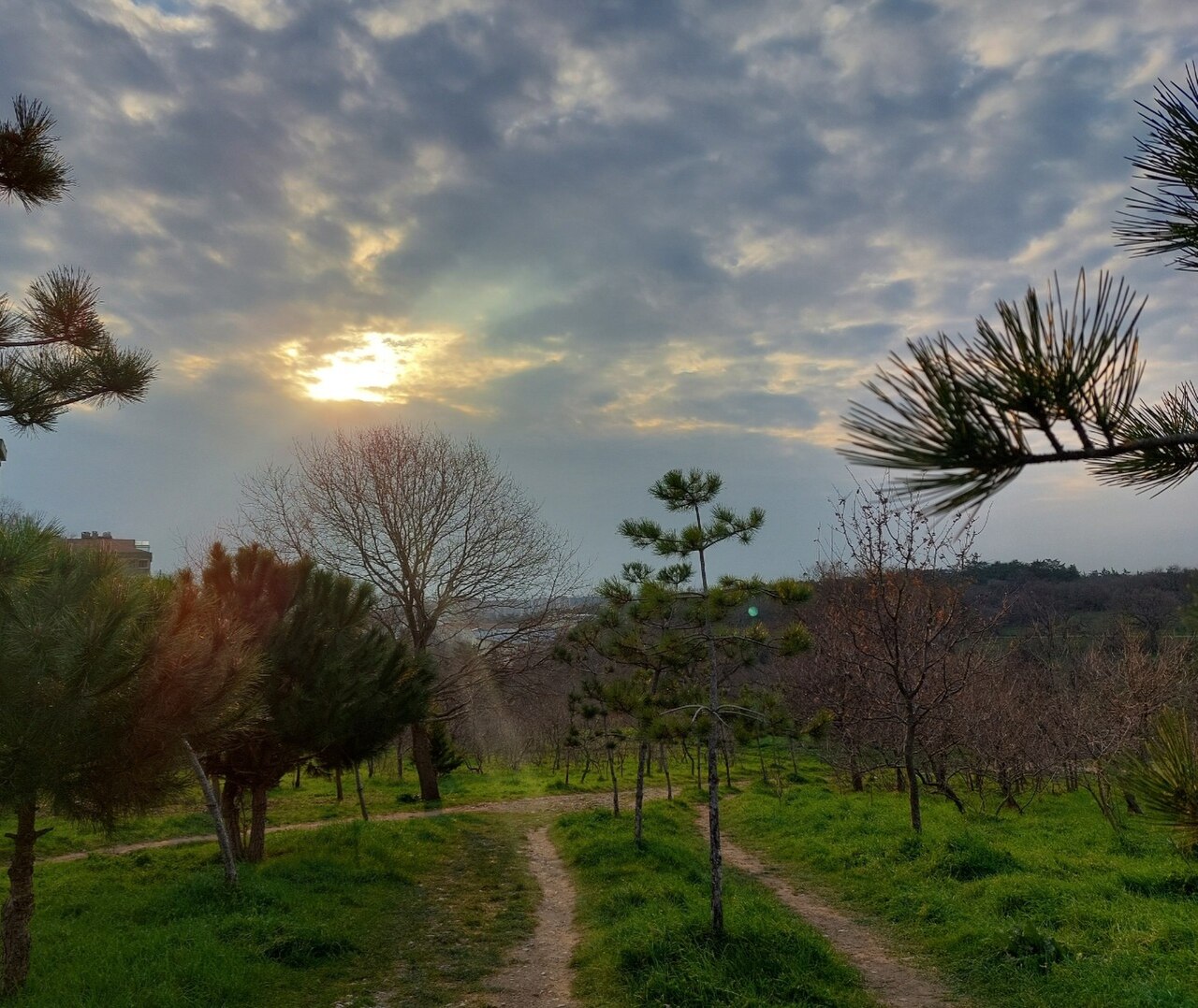 Validebağ Korusu, Istanbul