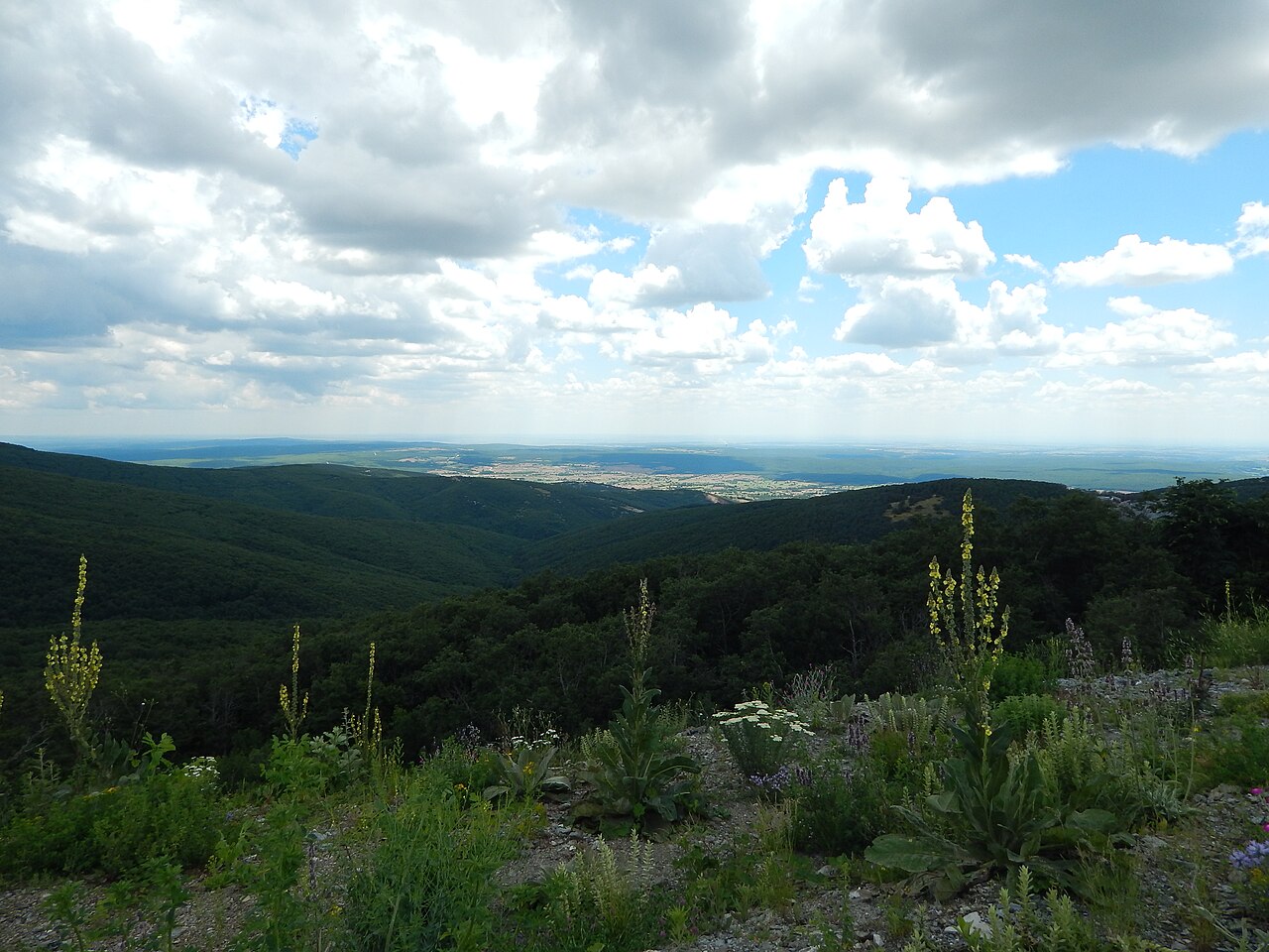 Yıldız Dağı (Istranca), Kirklareli
