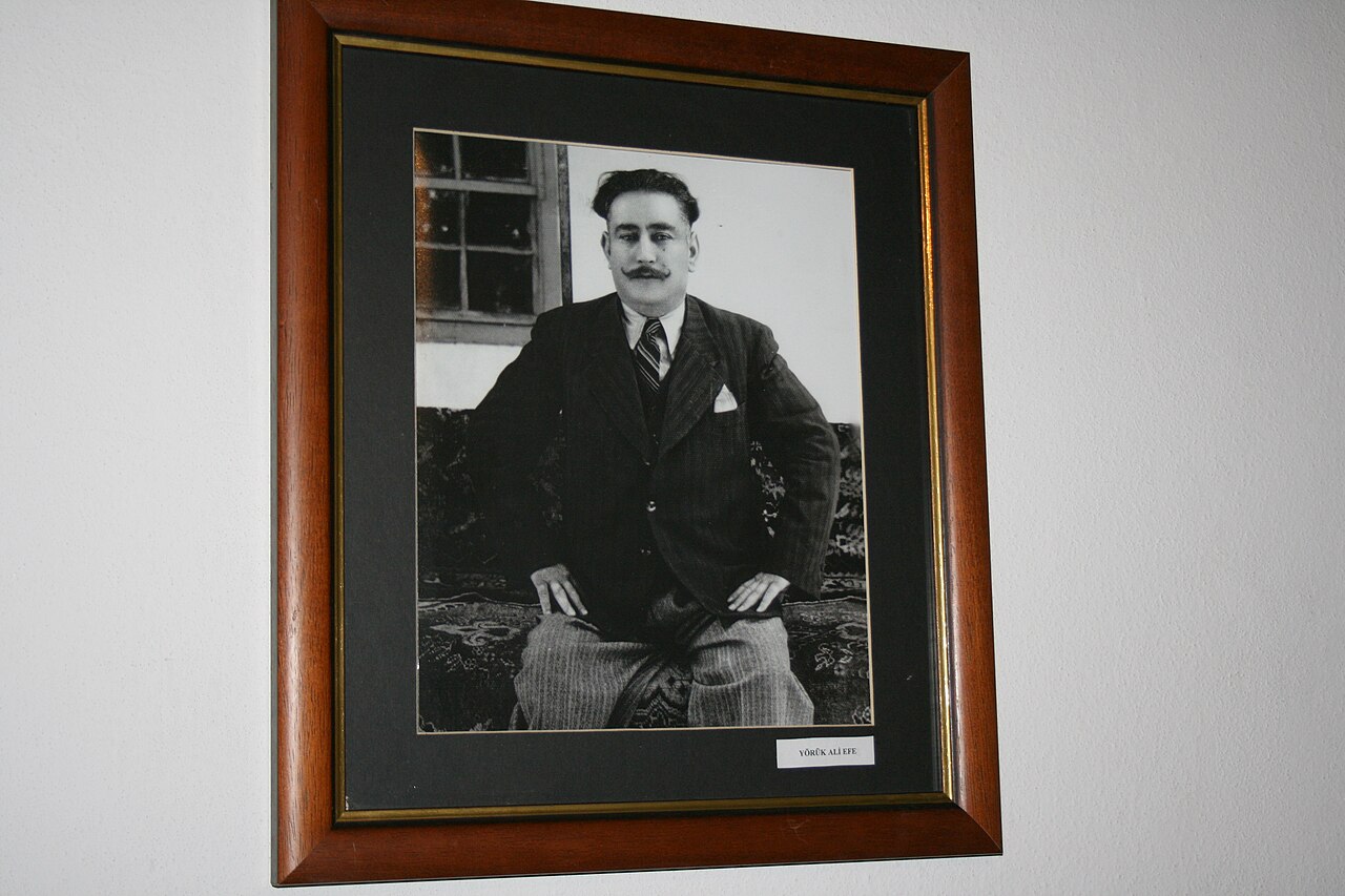 Yörük Ali Efe Müzesi, Aydin